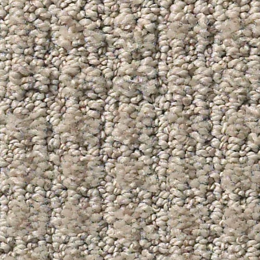 Shaw Foundations Aerial Arts Carpet in Artisan Taupe
