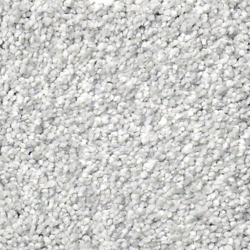 Shaw Find Your Comfort TT II Carpet in Bay Waves