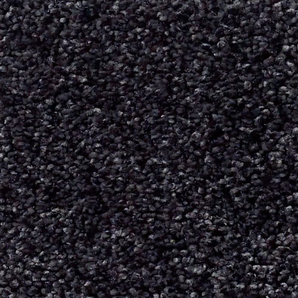 Shaw Find Your Comfort TT II Carpet in Movie Night