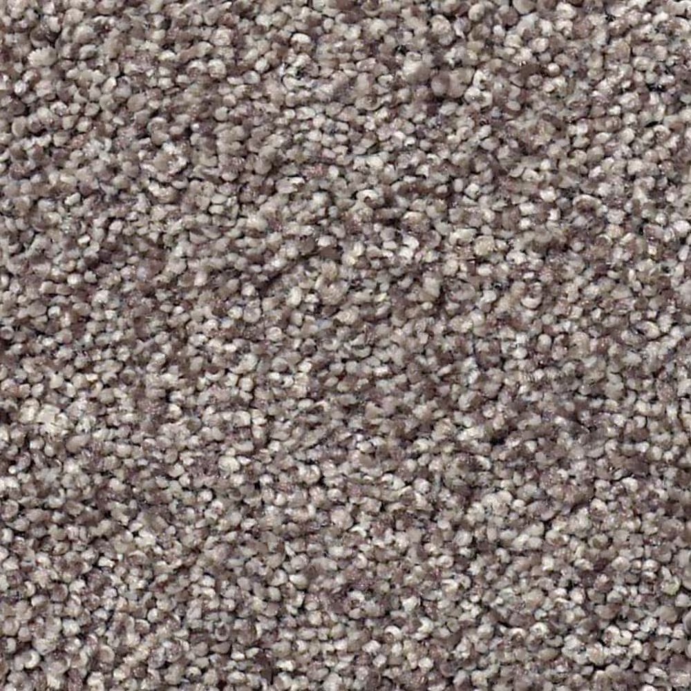 Shaw Find Your Comfort TT II Carpet in Lilac Field