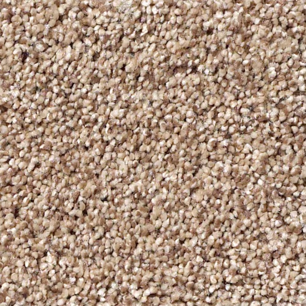 Shaw Foundations Take The Floor Tonal Blue Carpet in Sienna