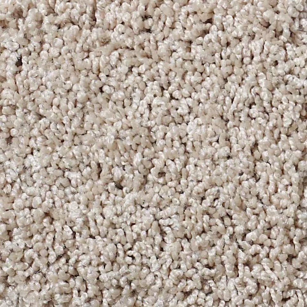 Shaw Foundations Take The Floor Twist II Carpet in Neutral Ground