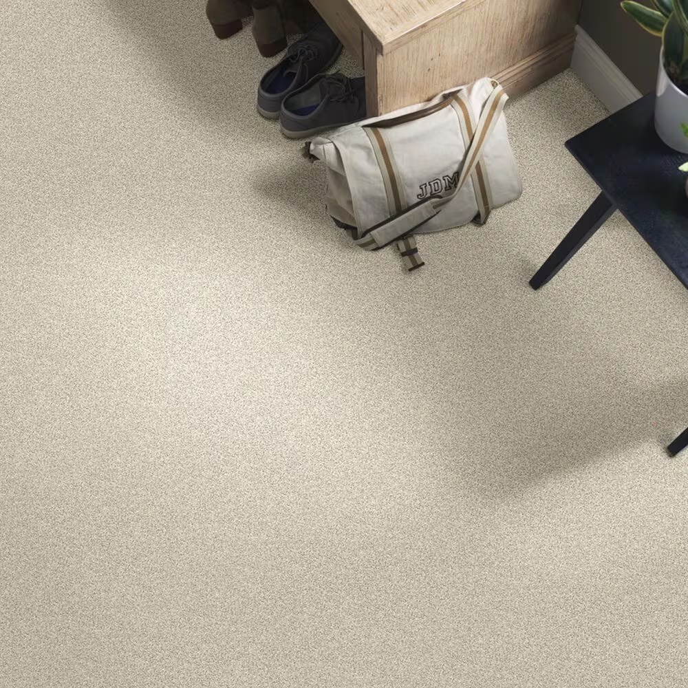 38794-shaw-foundations-take-the-floor-twist-ii-carpet-in-neutral-ground-1.jpg