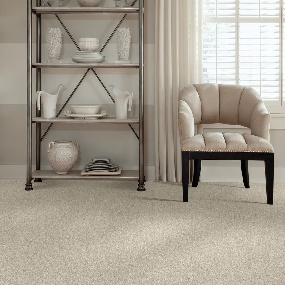 38794-shaw-foundations-take-the-floor-twist-ii-carpet-in-neutral-ground-1.jpg