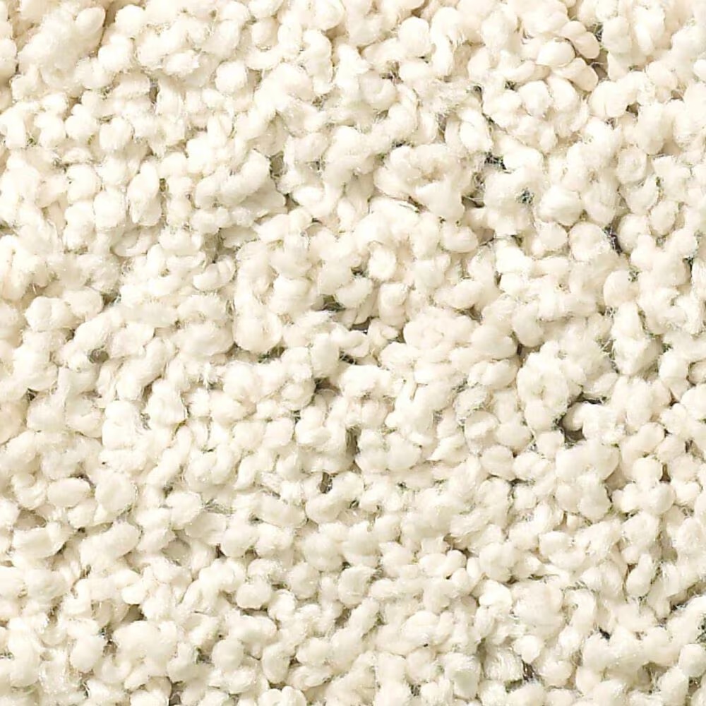Anderson Tuftex Caress Rich Opulence Carpet in Awaken