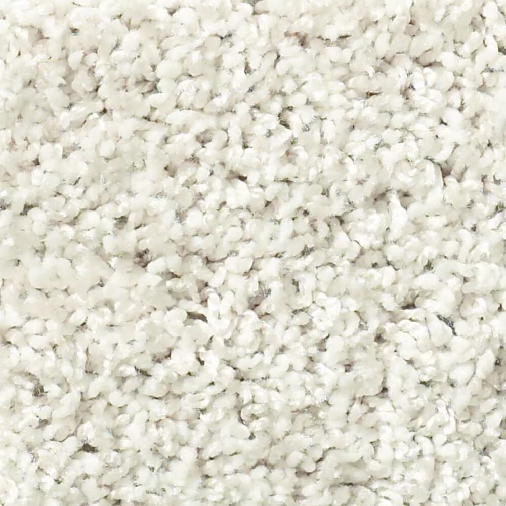 Shaw Cool Flair Carpet in Mayfair