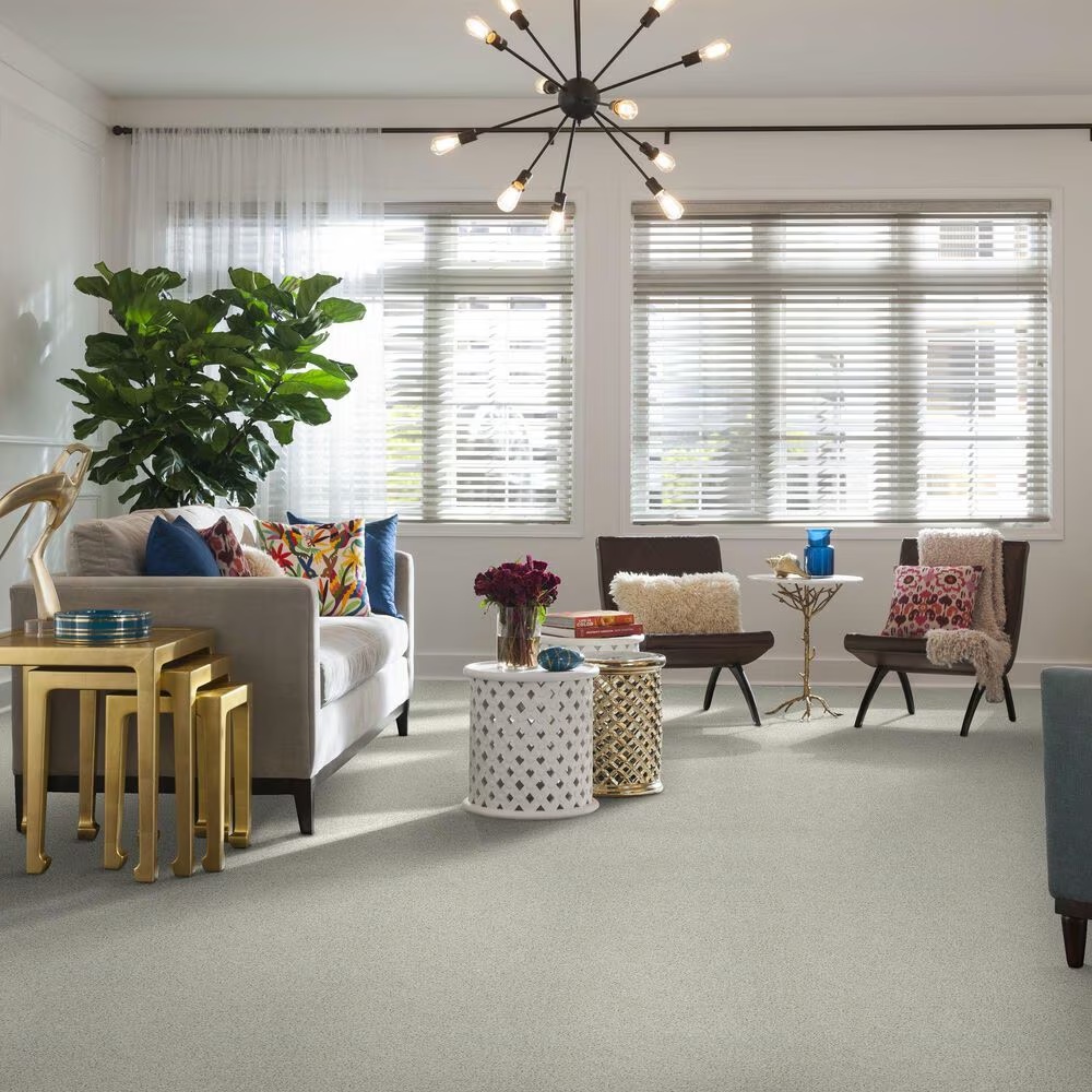 38799-shaw-cool-flair-carpet-in-mayfair-1.jpg