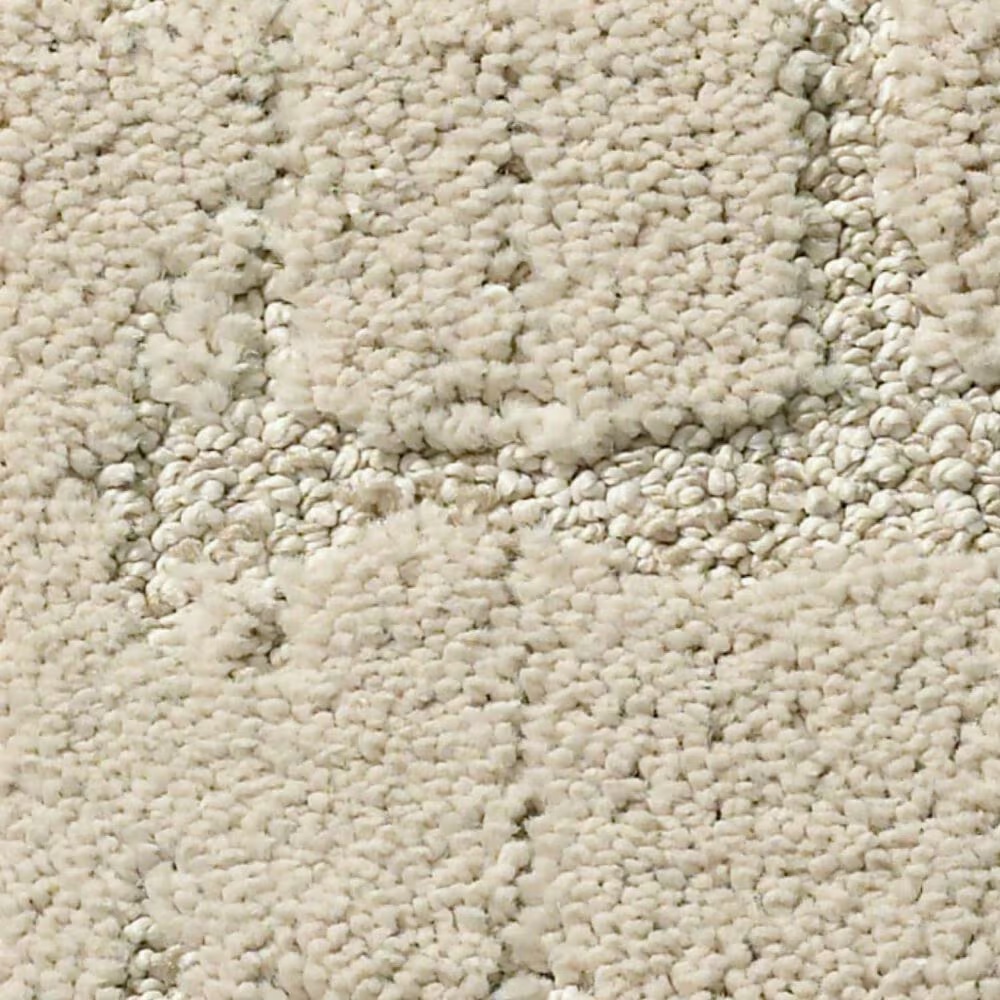 Anderson Tuftex Caress Rustique Vibe Carpet in Clay