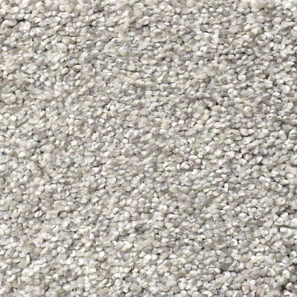Shaw Find Your Comfort TT II Carpet in Restful Day