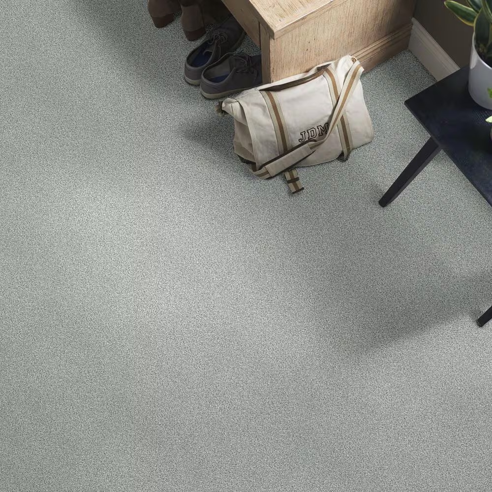 38802-shaw-find-your-comfort-tt-ii-carpet-in-restful-day-1.jpg