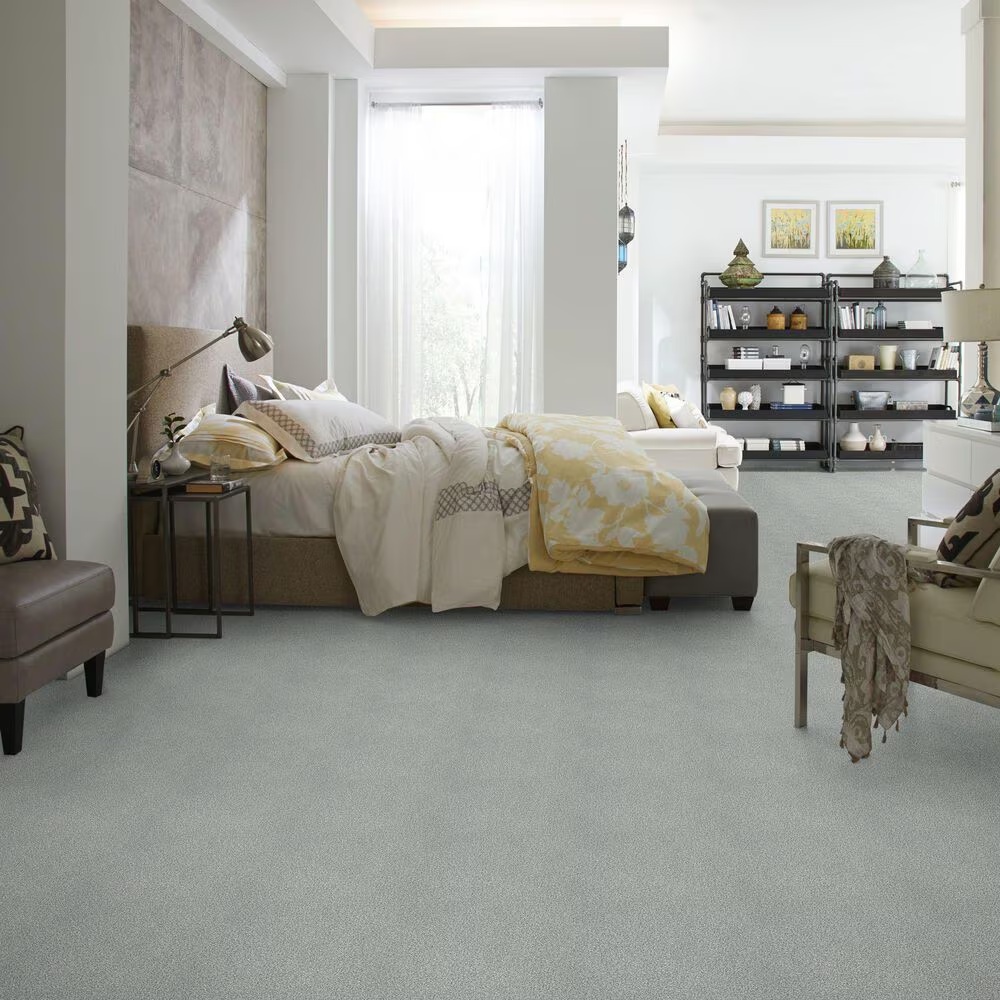 38802-shaw-find-your-comfort-tt-ii-carpet-in-restful-day-1.jpg
