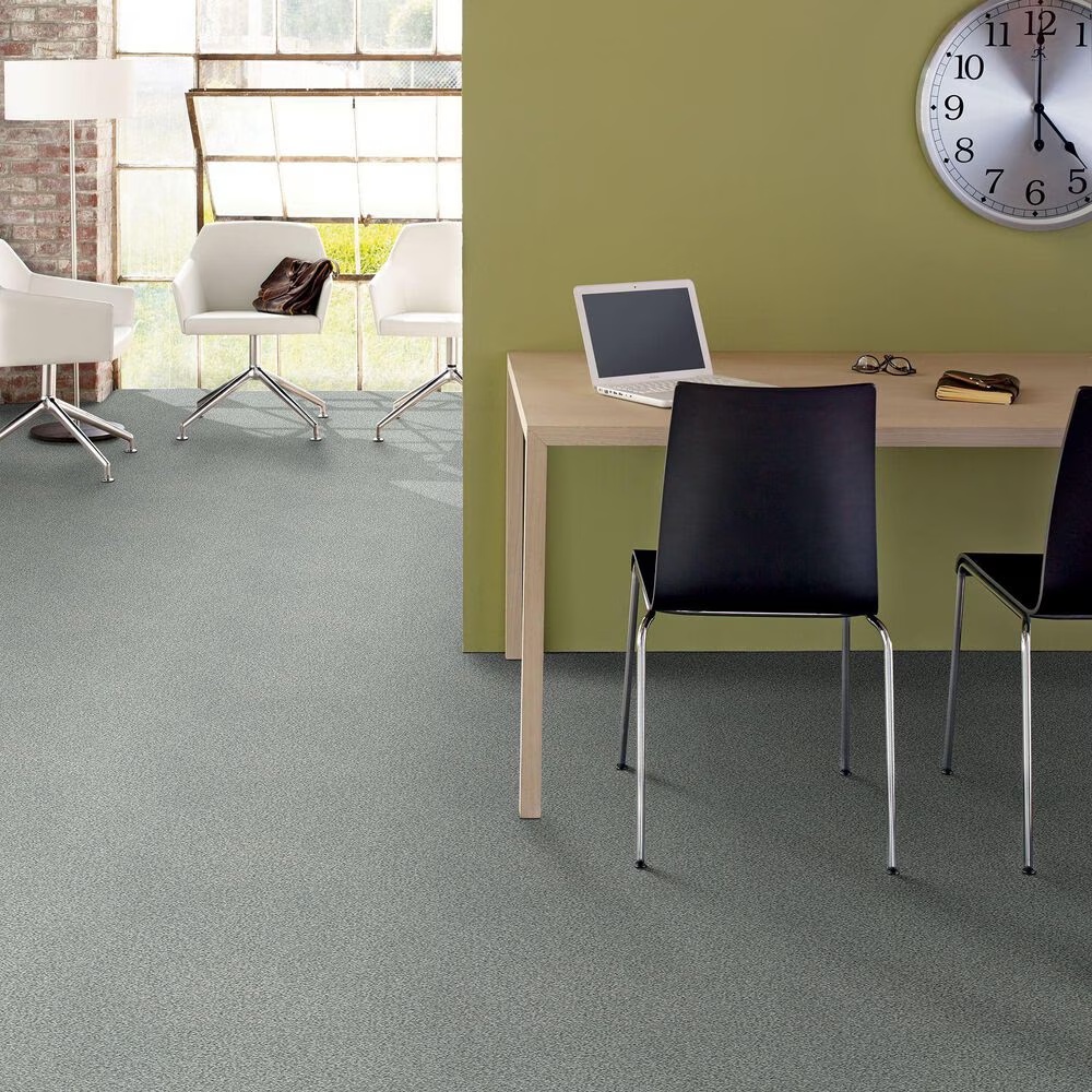 38802-shaw-find-your-comfort-tt-ii-carpet-in-restful-day-1.jpg