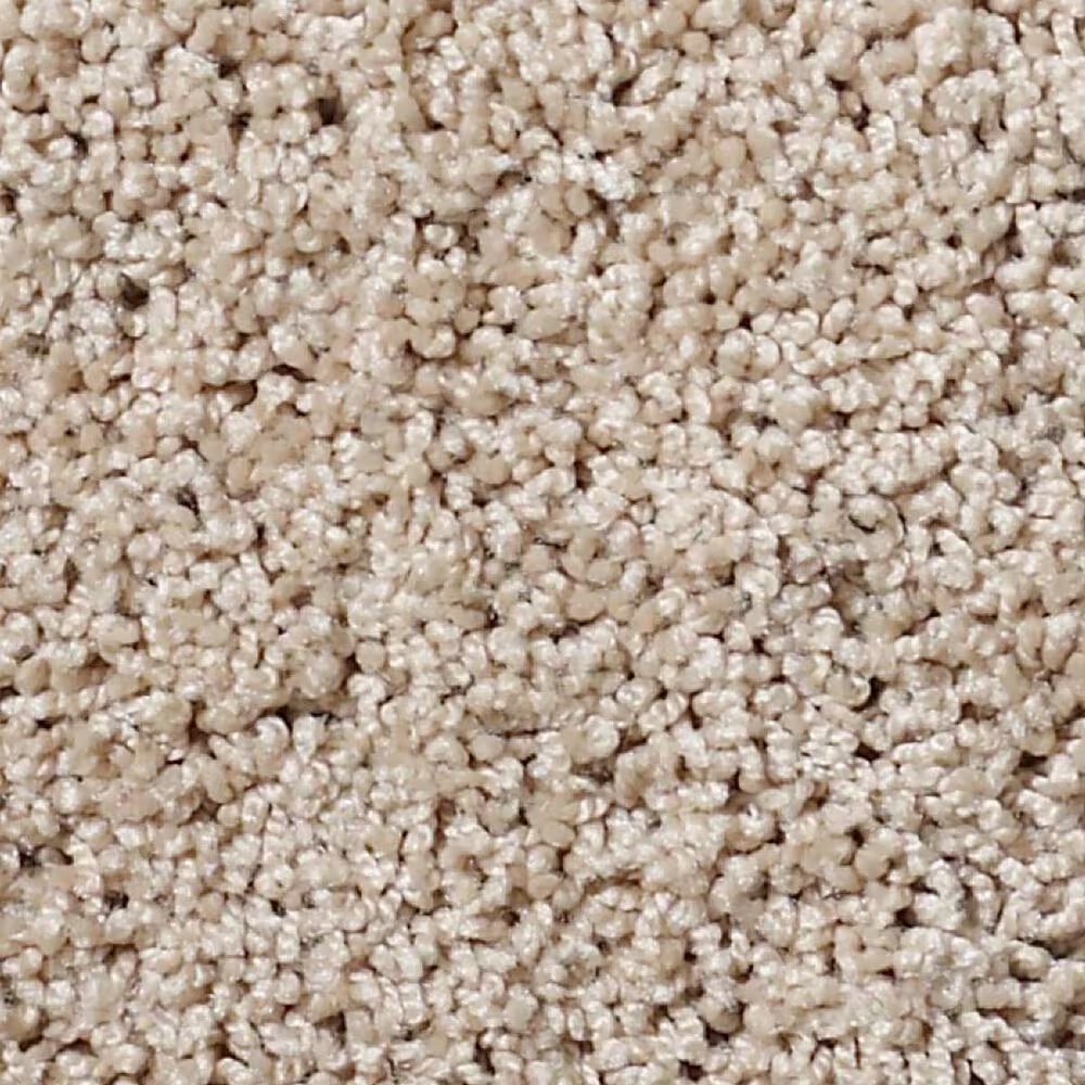 Shaw Foundations Take The Floor Twist II Carpet in Hickory