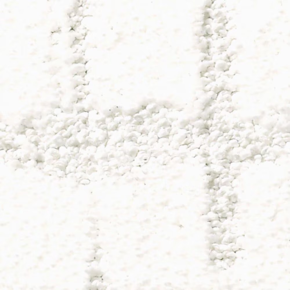 Anderson Tuftex Caress Rustique Vibe Carpet in Purity