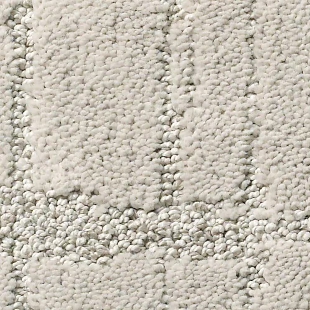 Anderson Tuftex Caress Rustique Vibe Carpet in Mist