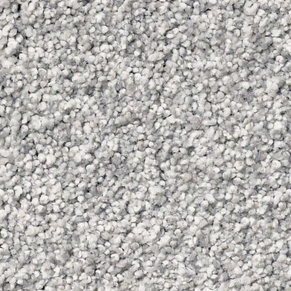 Shaw Find Your Comfort TT II Carpet in Polished Silver