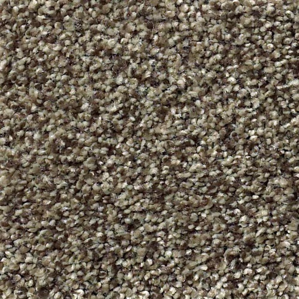 Shaw Find Your Comfort TT II Carpet in Summer House