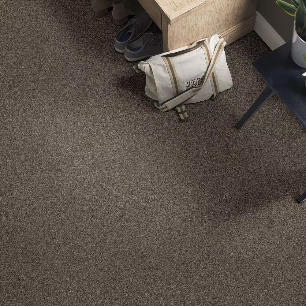 38815-shaw-find-your-comfort-tt-ii-carpet-in-summer-house-1.jpg