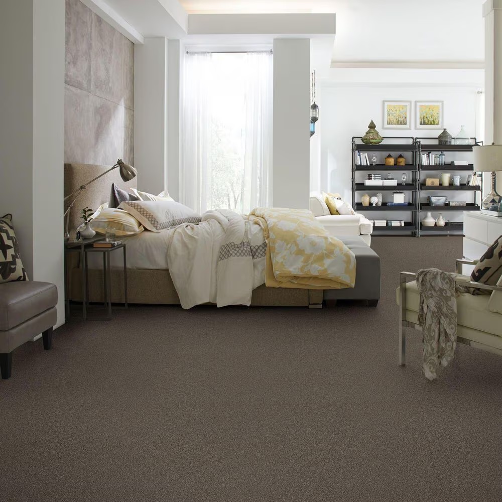 38815-shaw-find-your-comfort-tt-ii-carpet-in-summer-house-1.jpg