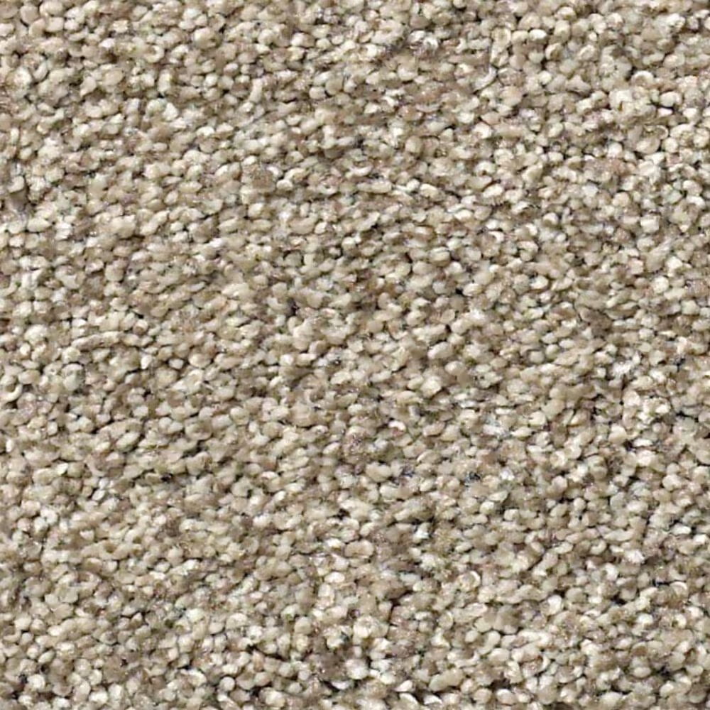 Shaw Find Your Comfort TT II Carpet in Dockside View