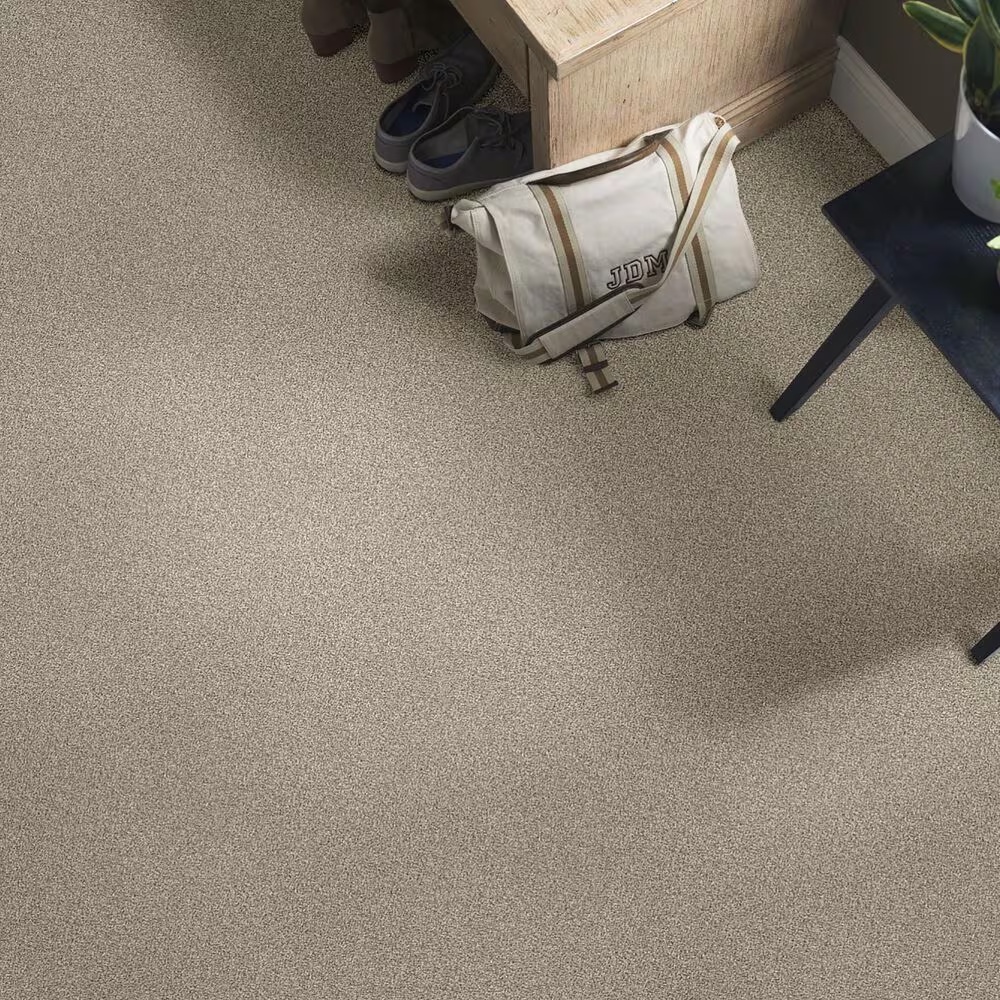 38816-shaw-find-your-comfort-tt-ii-carpet-in-dockside-view-1.jpg