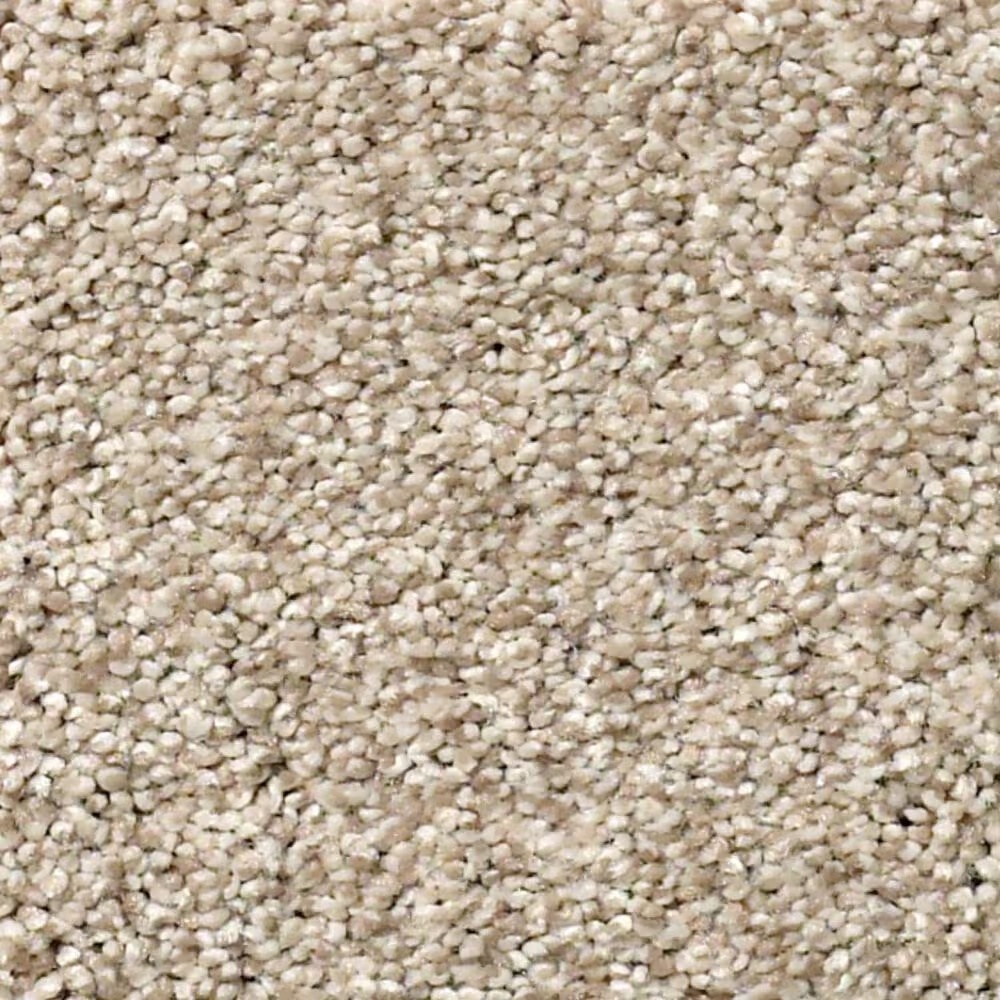 Shaw Find Your Comfort TT II Carpet in My Haven