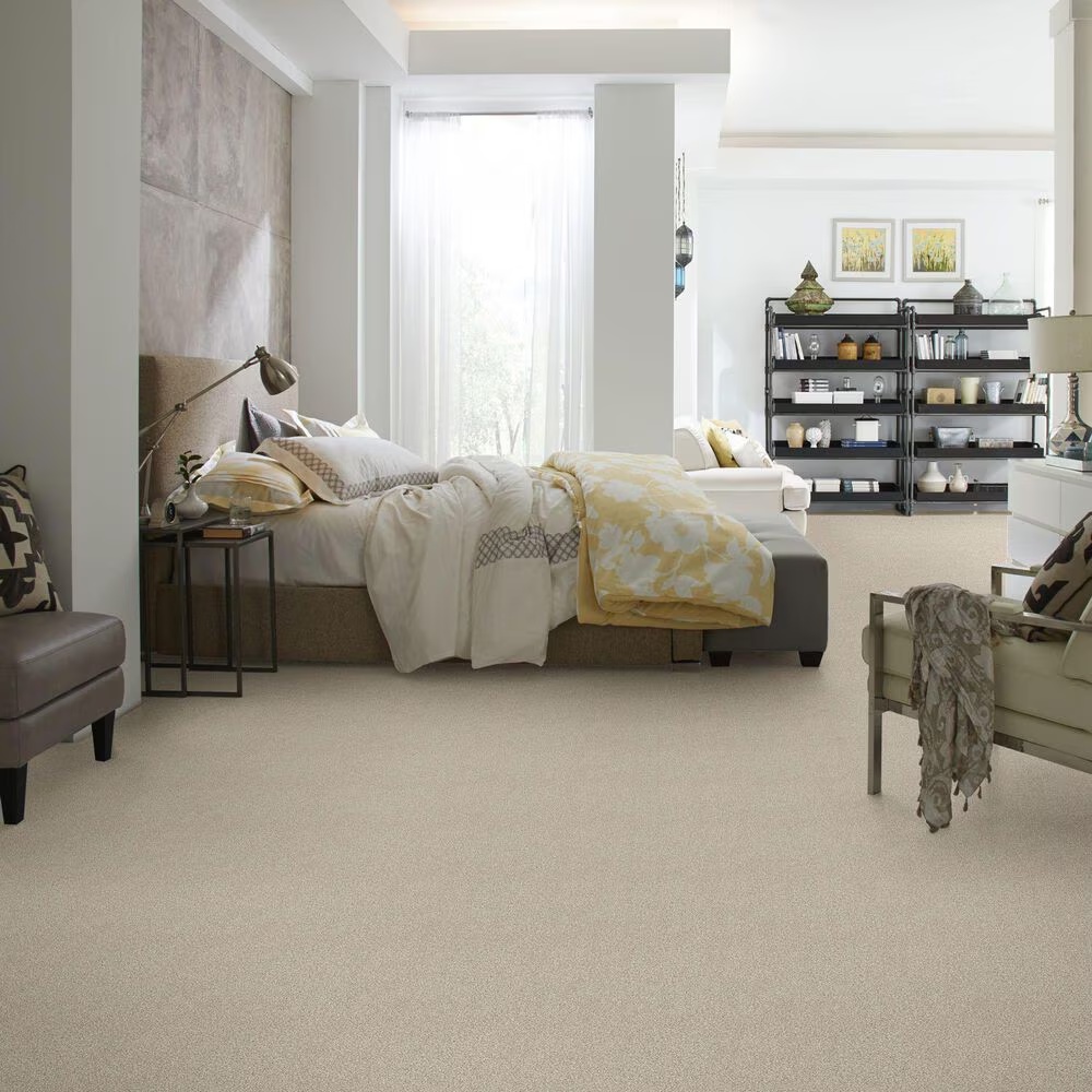 38817-shaw-find-your-comfort-tt-ii-carpet-in-my-haven-1.jpg