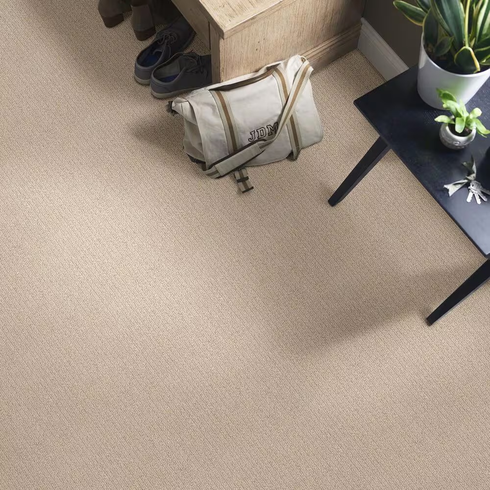 38820-shaw-foundations-aerial-arts-carpet-in-tiramisu-1.jpg