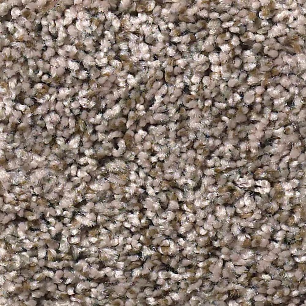 Shaw Cabana Bay (B) Carpet in Brown Reed