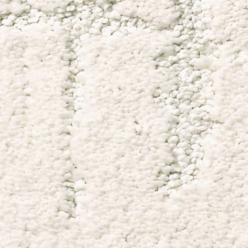 Anderson Tuftex Caress Rustique Vibe Carpet in Calm