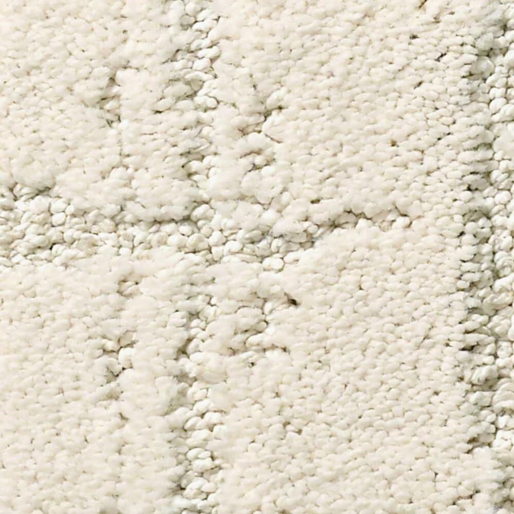 Anderson Tuftex Caress Rustique Vibe Carpet in Awaken