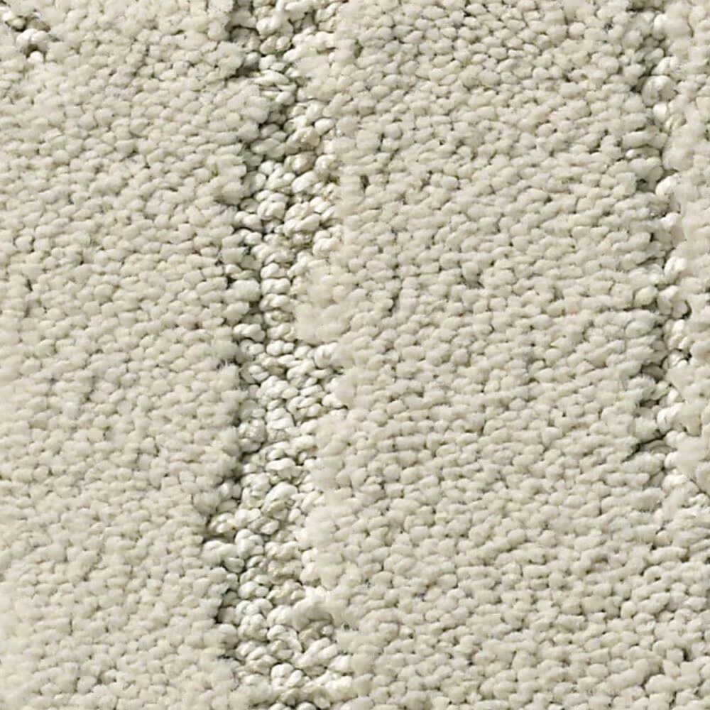 Anderson Tuftex Caress Rustique Vibe Carpet in Soft Spoken