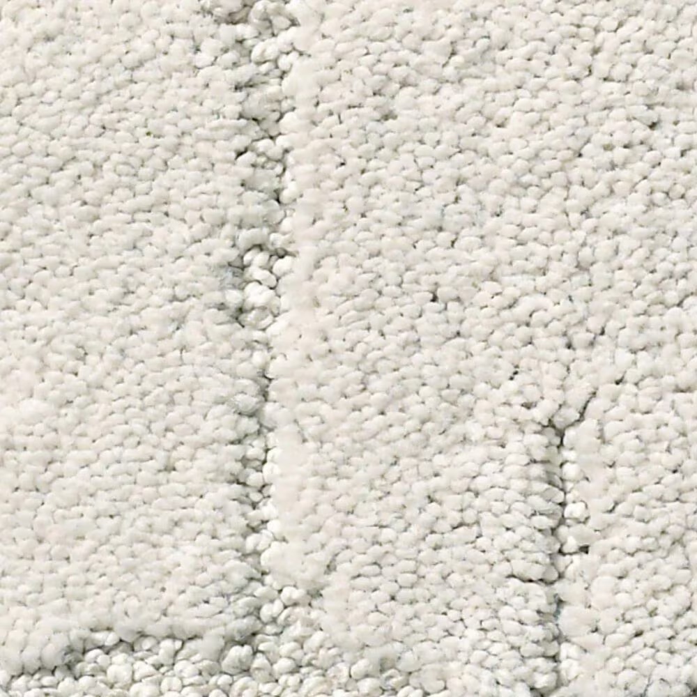 Anderson Tuftex Caress Rustique Vibe Carpet in Glacier Ice