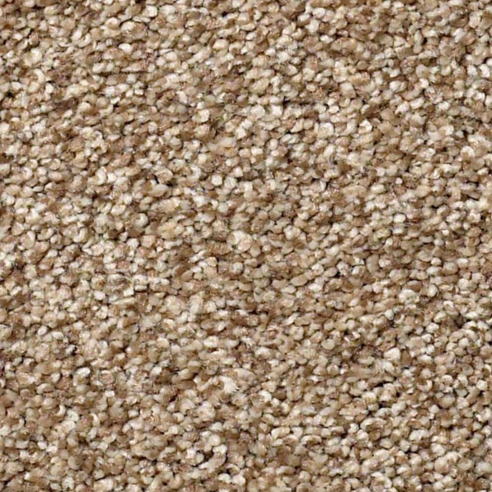 Shaw Find Your Comfort TT II Carpet in Falling Leaves