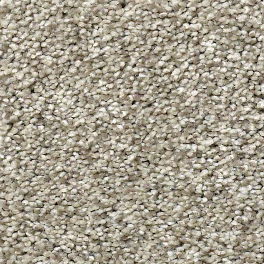 Shaw Find Your Comfort TT II Carpet in Back Patio