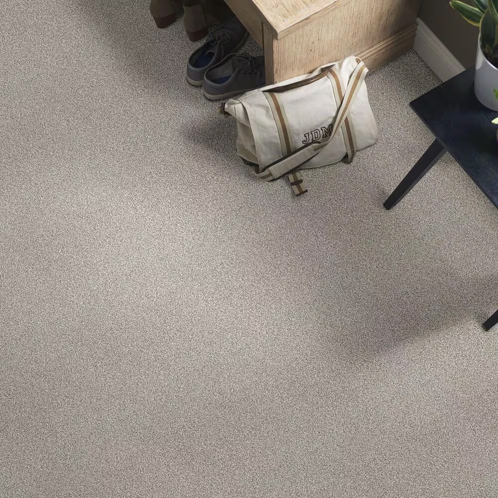38827-shaw-find-your-comfort-tt-ii-carpet-in-back-patio-1.jpg
