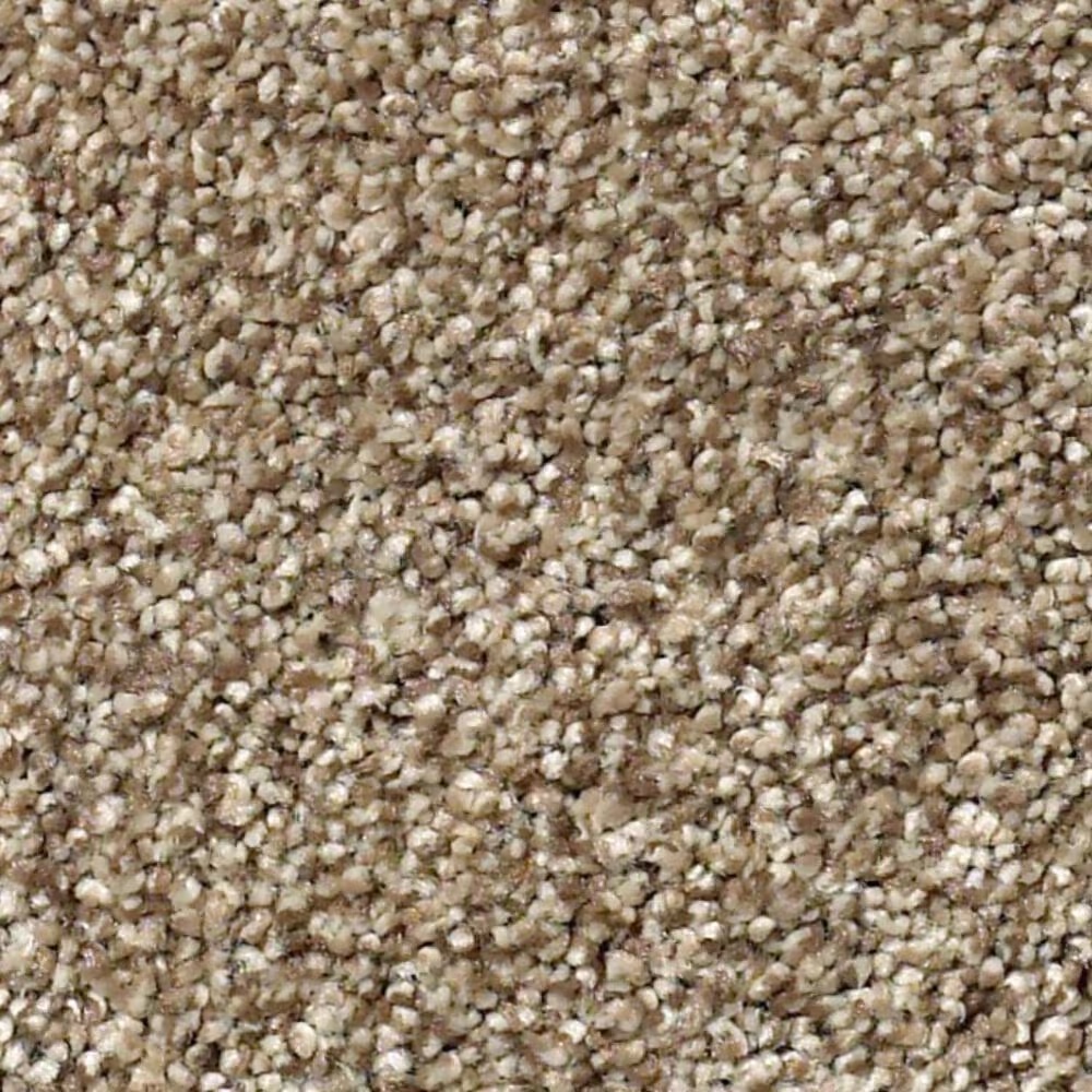 Shaw Find Your Comfort TT II Carpet in Camping Trip