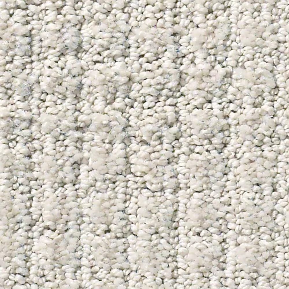 Shaw Foundations Aerial Arts Carpet in Haze