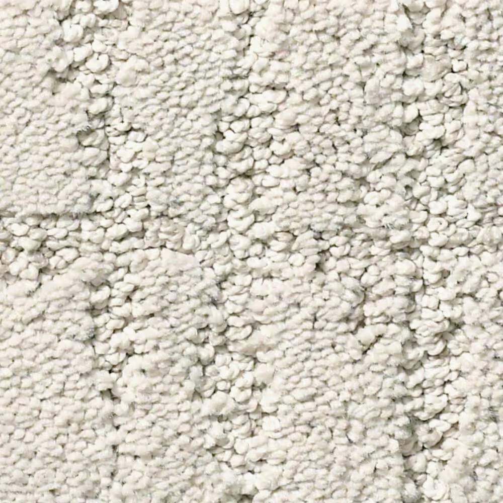 Anderson Tuftex Caress Rustique Vibe Carpet in Meditative