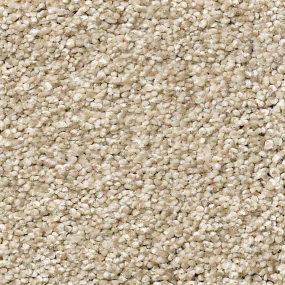 Shaw Find Your Comfort TT II Carpet in Dinner with Friends
