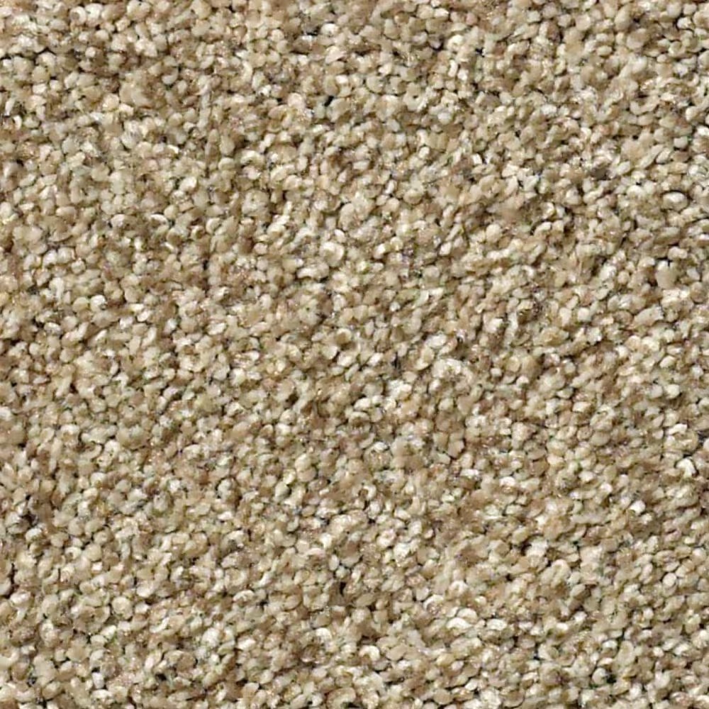 Shaw Find Your Comfort TT II Carpet in Honey Tea