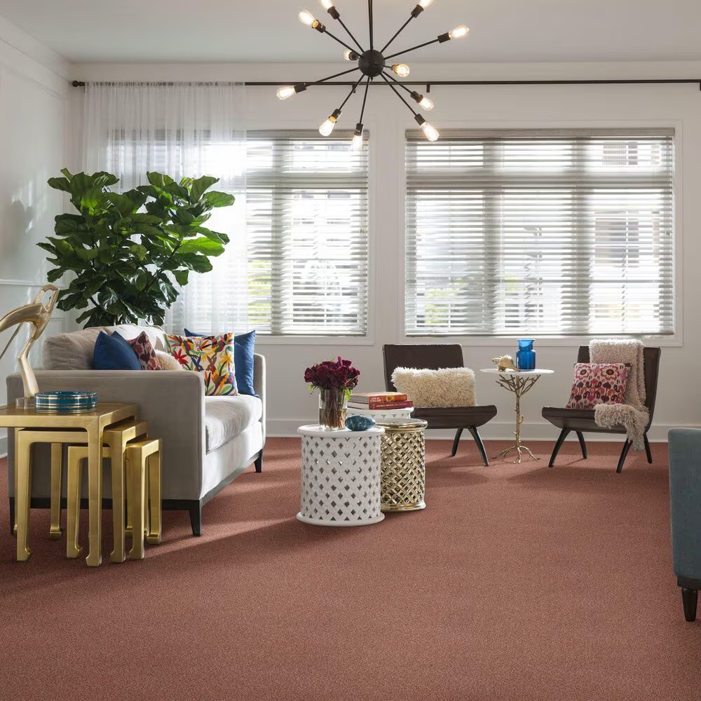 38841-shaw-find-your-comfort-tt-ii-carpet-in-open-the-rose-1.jpg