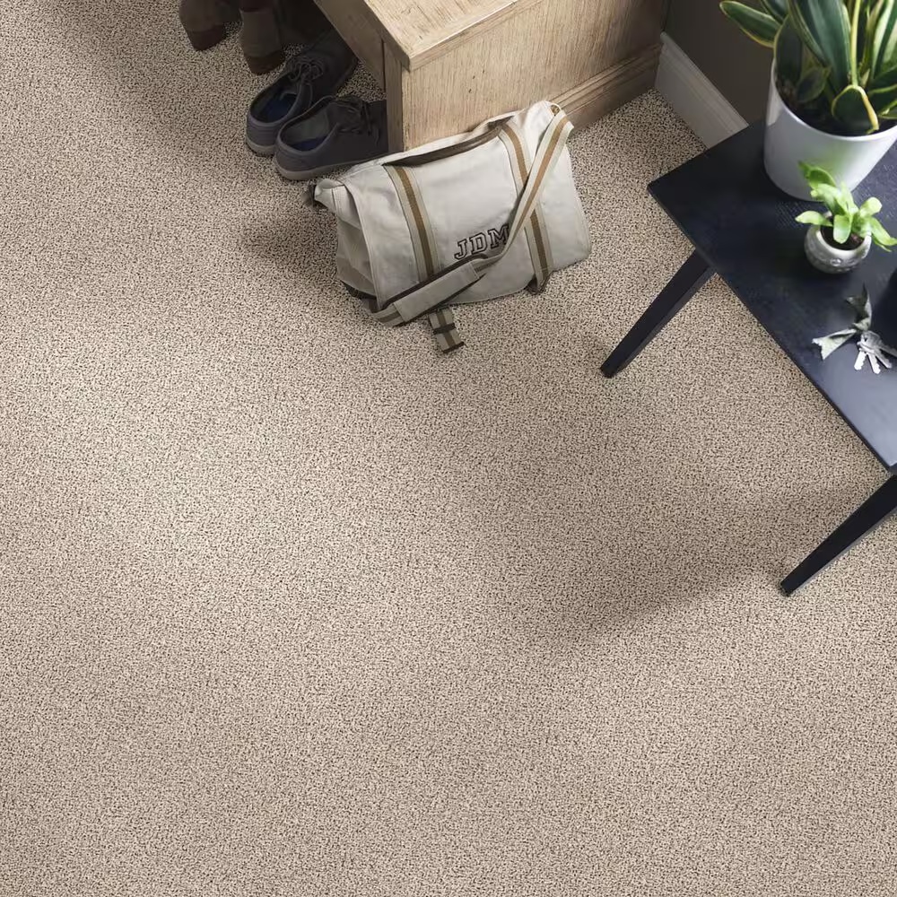 38842-shaw-foundations-take-the-floor-accent-blue-carpet-in-luna-1.jpg