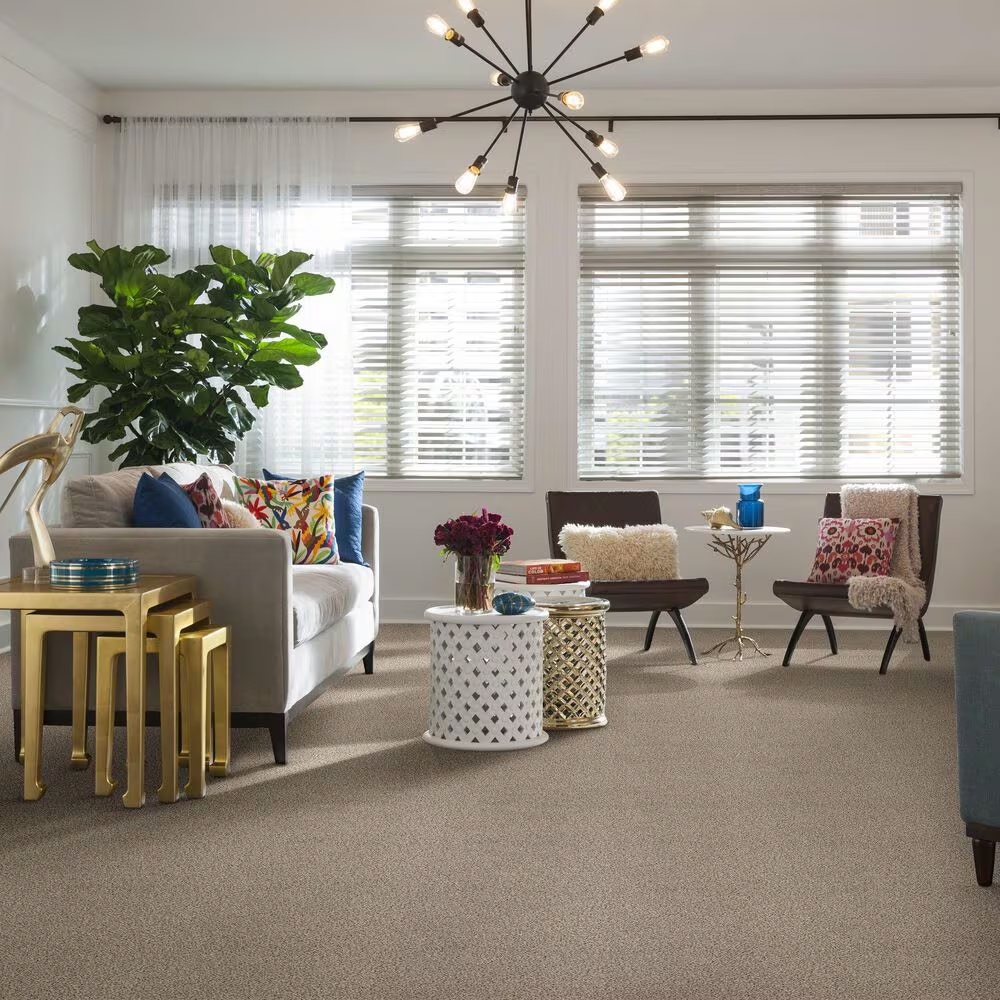 38842-shaw-foundations-take-the-floor-accent-blue-carpet-in-luna-1.jpg