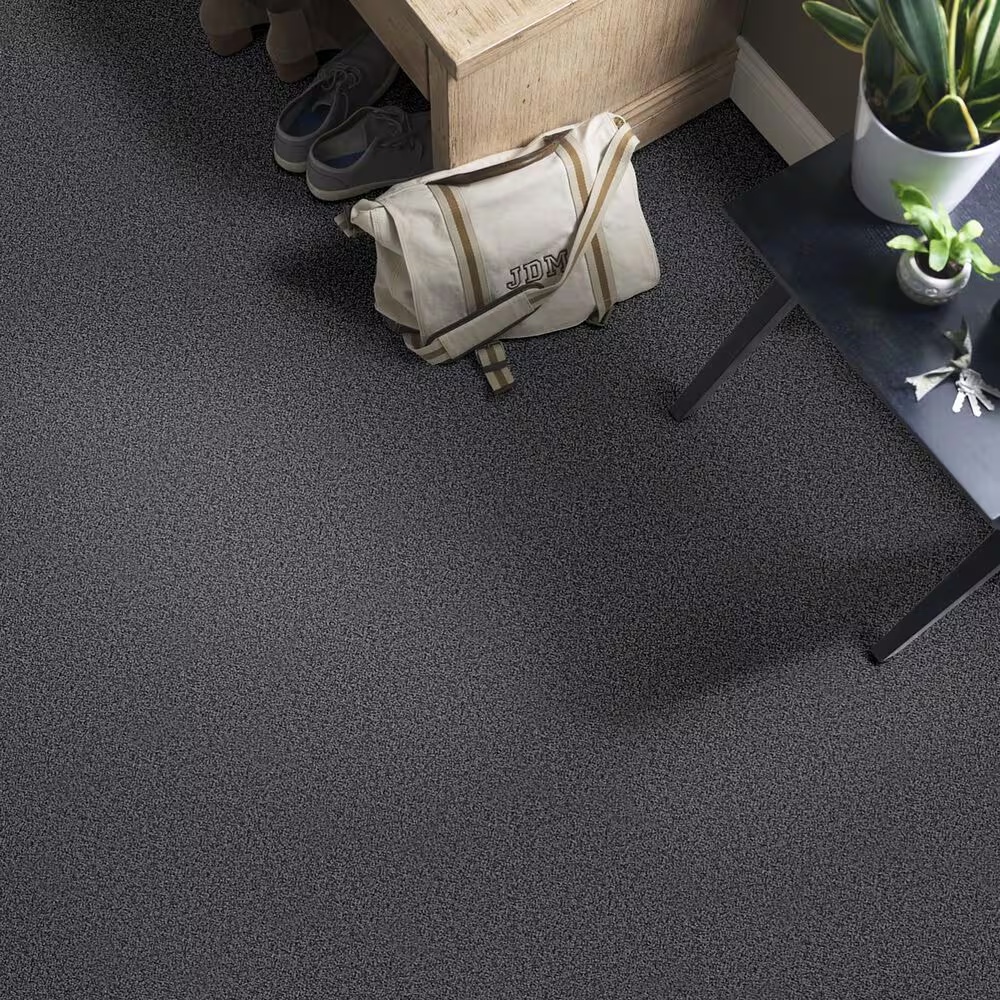 38844-shaw-foundations-take-the-floor-twist-ii-carpet-in-urban-studio-1.jpg