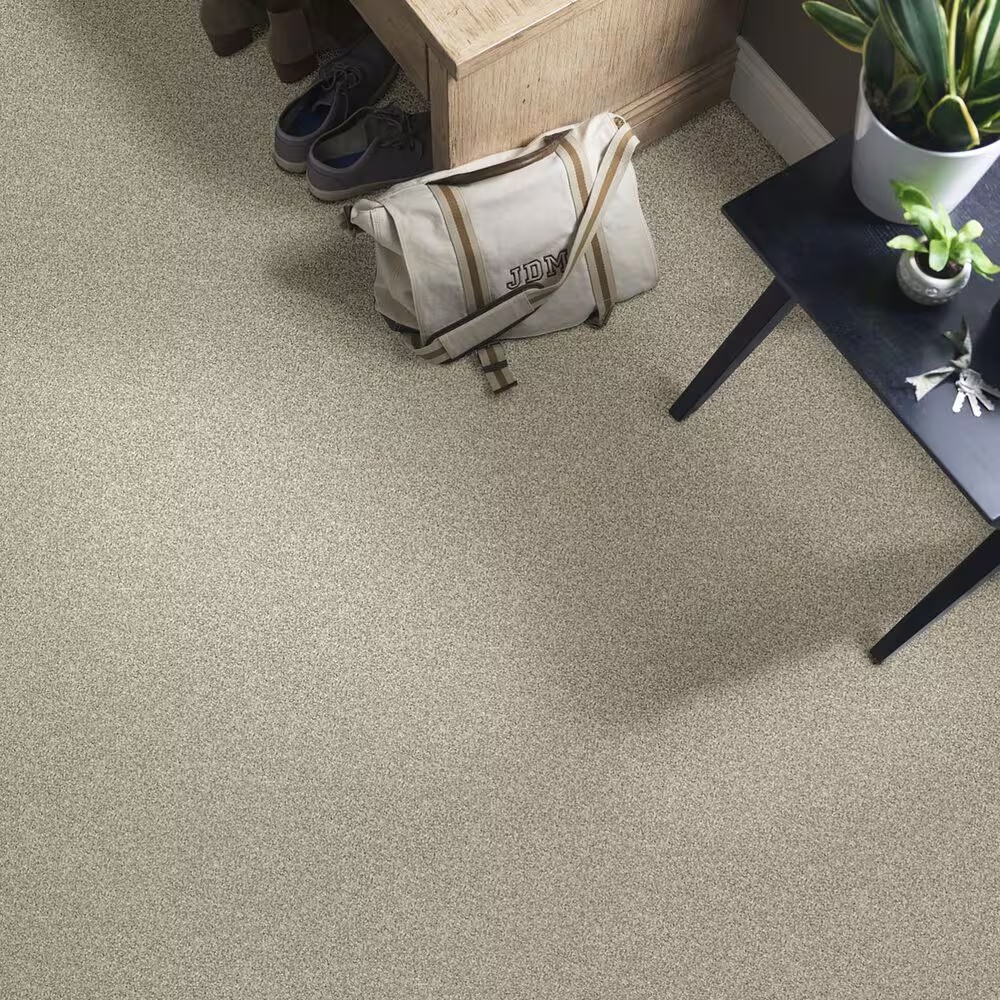 38845-shaw-foundations-take-the-floor-twist-ii-carpet-in-threshold-1.jpg