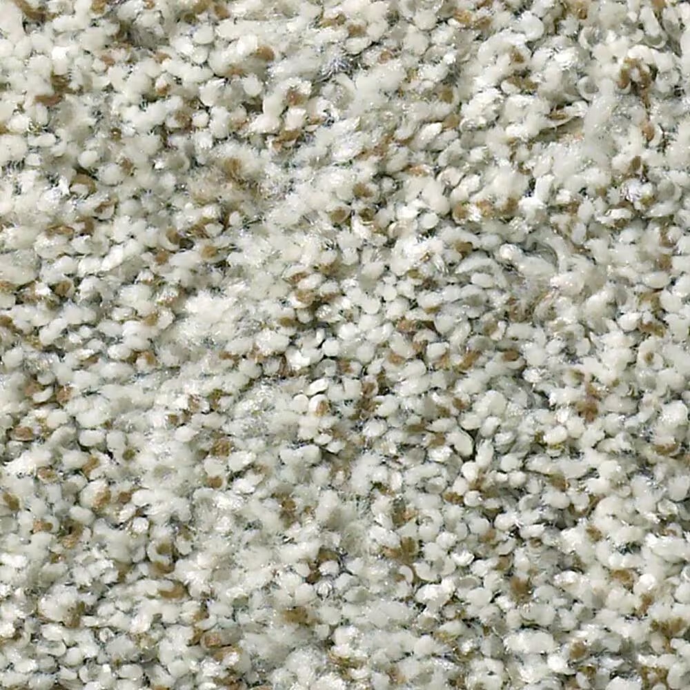 Shaw Cabana Bay Carpet in Winter