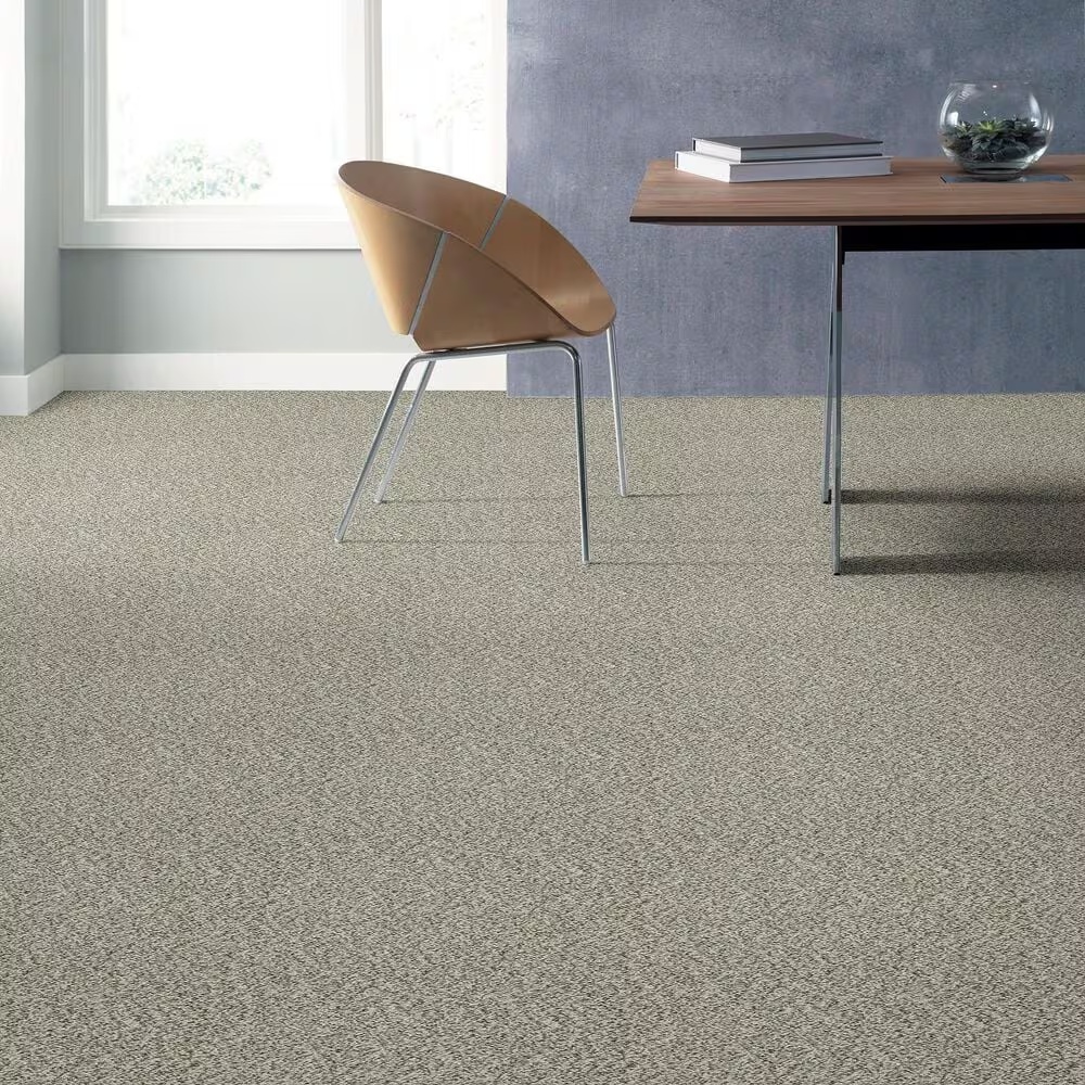 38846-shaw-cabana-bay-carpet-in-winter-1.jpg
