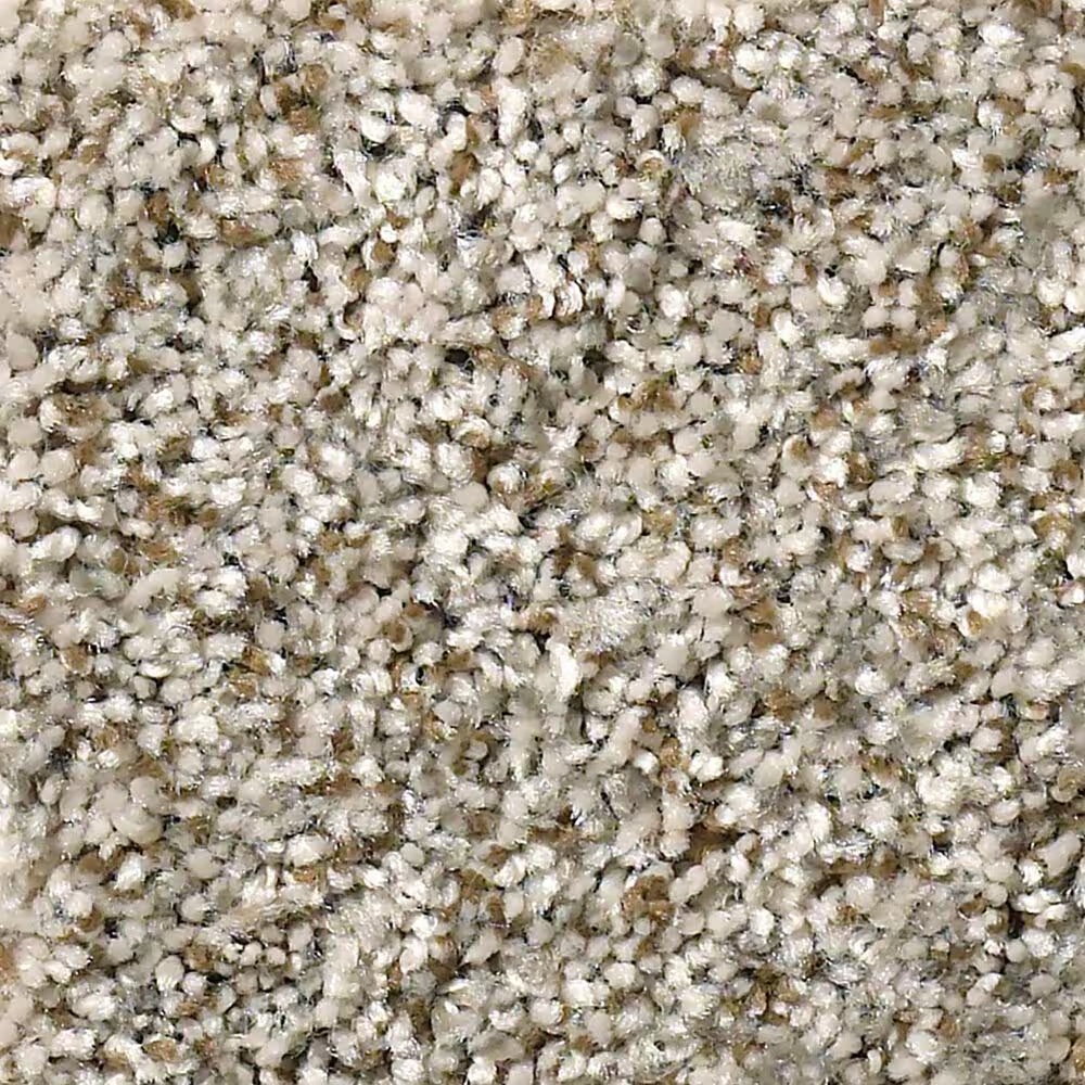 Shaw Cabana Bay (B) Carpet in Beach House