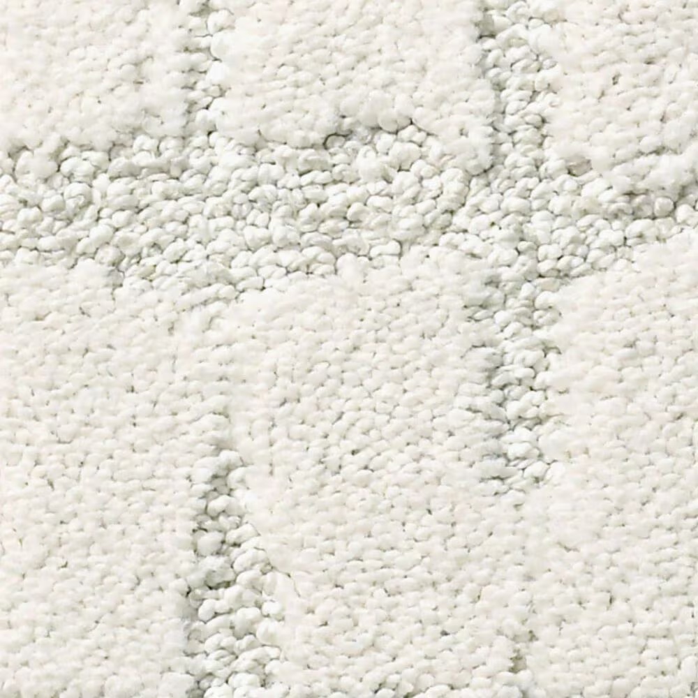 Anderson Tuftex Caress Rustique Vibe Carpet in Atmospheric